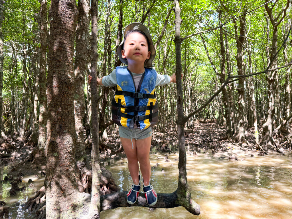 石垣島マングローブツアーに参加する子ども