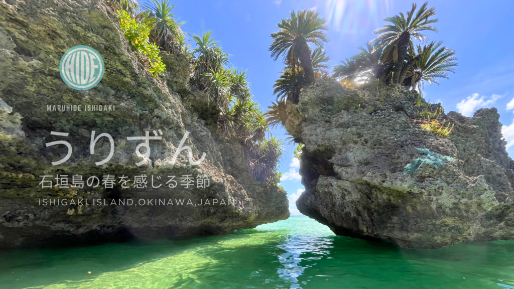 うりずんの季節・石垣島北部の 岩場と透明な緑の海