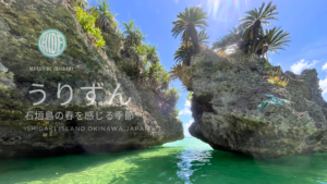 うりずんの季節・石垣島北部の 岩場と透明な緑の海