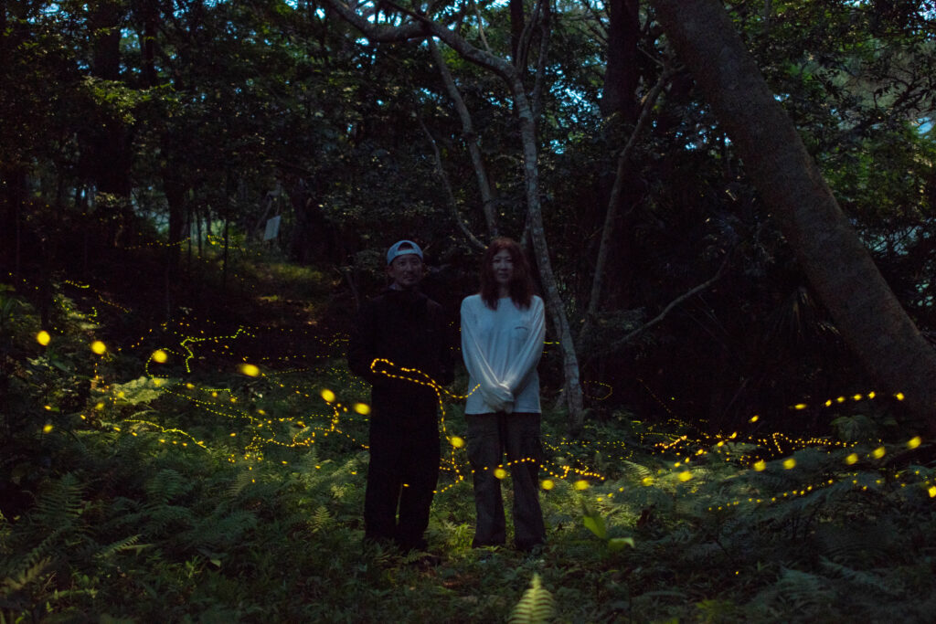 石垣島北部の山で乱舞するヤエヤマヒメボタルと人物